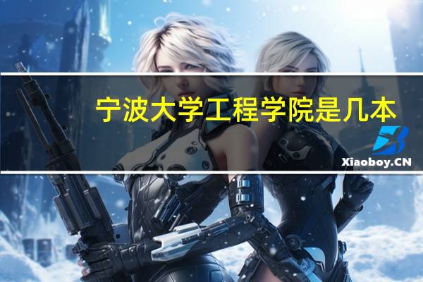 宁波大学工程学院是几本