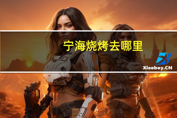 宁海烧烤去哪里
