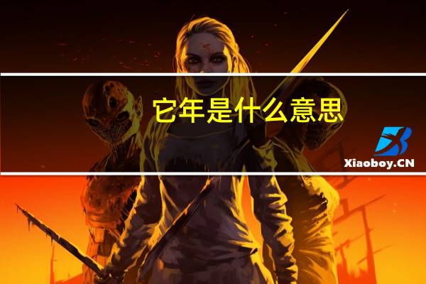 它年是什么意思