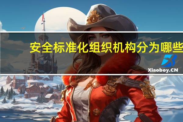 安全标准化组织机构分为哪些