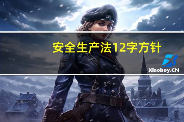 安全生产法12字方针