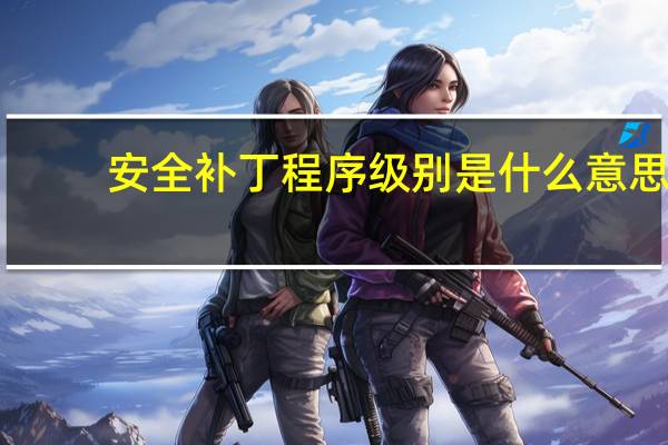 安全补丁程序级别是什么意思