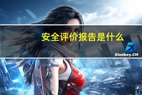 安全评价报告是什么
