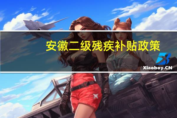 安徽二级残疾补贴政策