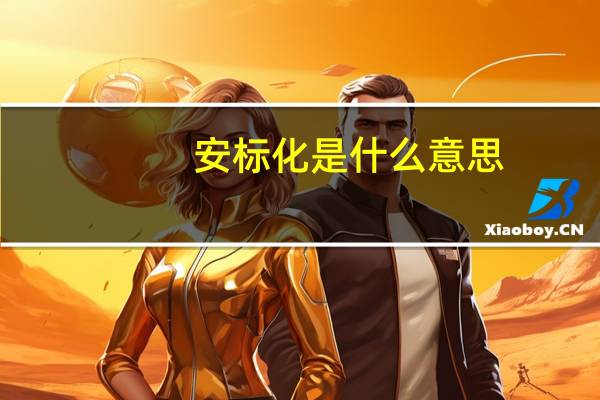 安标化是什么意思