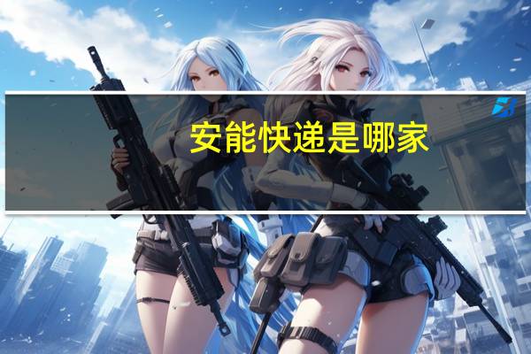安能快递是哪家