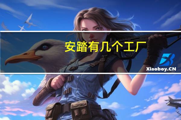 安踏有几个工厂