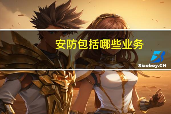 安防包括哪些业务