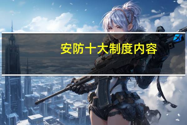 安防十大制度内容