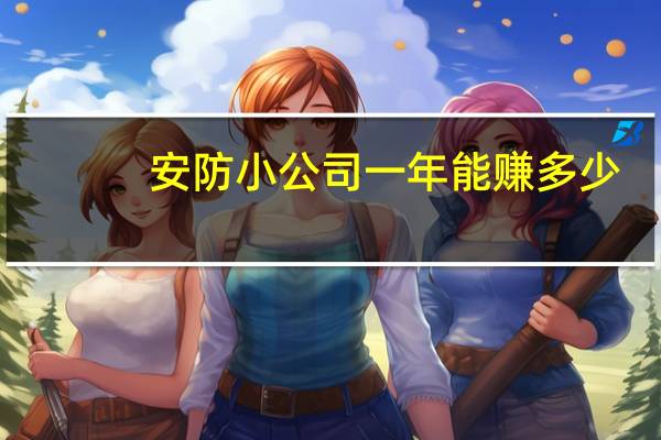 安防小公司一年能赚多少