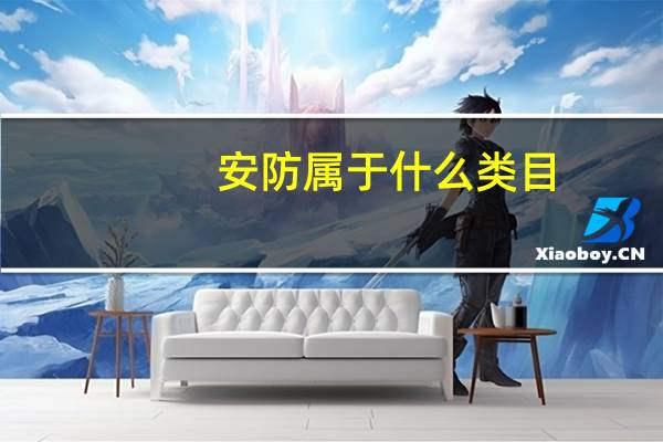 安防属于什么类目