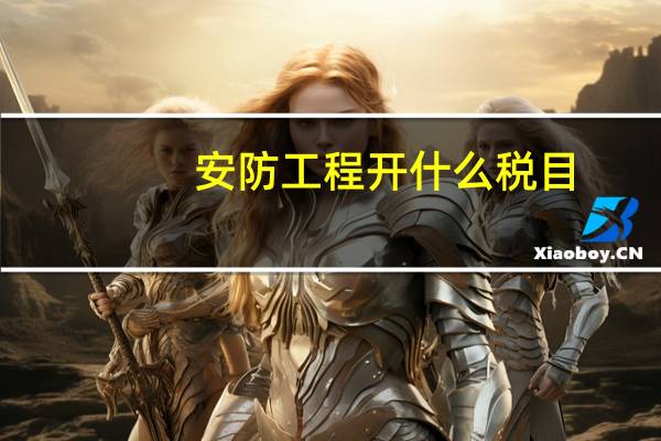 安防工程开什么税目
