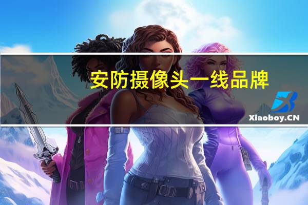 安防摄像头一线品牌