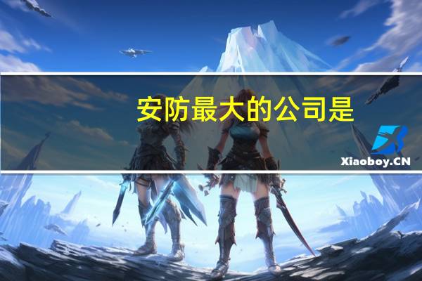 安防最大的公司是