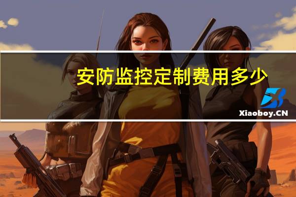 安防监控定制费用多少