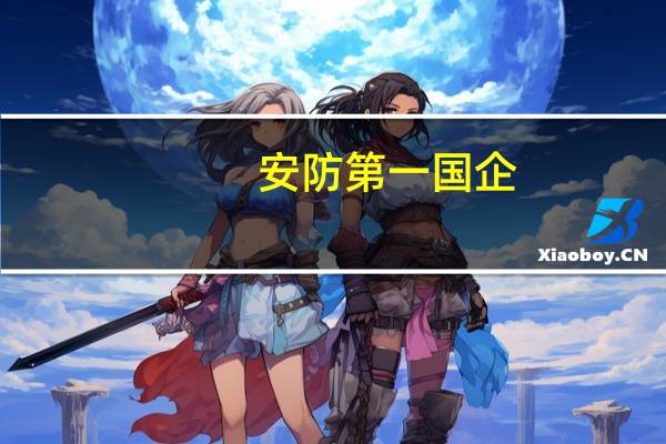 安防第一国企