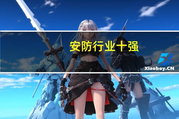 安防行业十强