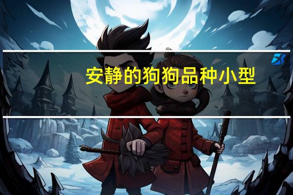 安静的狗狗品种小型