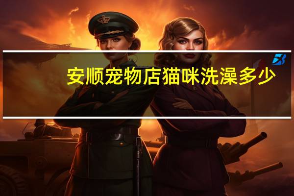 安顺宠物店猫咪洗澡多少
