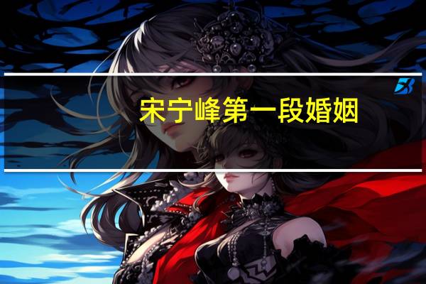 宋宁峰第一段婚姻