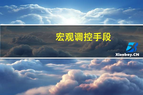 宏观调控手段