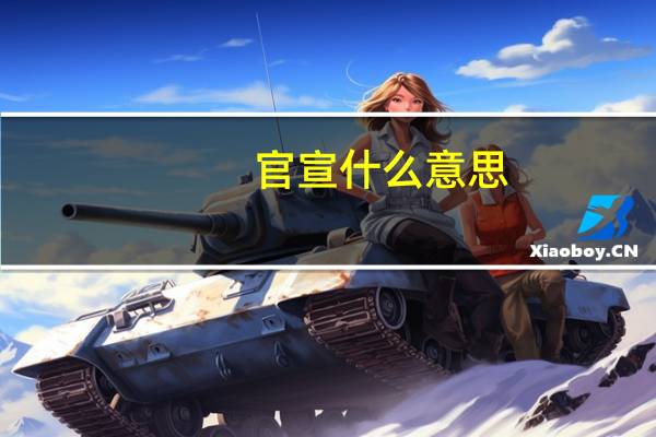 官宣什么意思