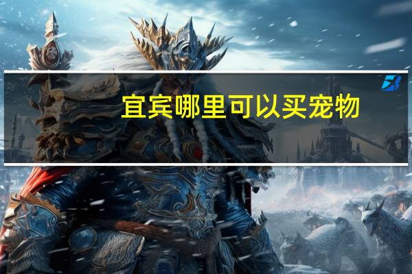 宜宾哪里可以买宠物