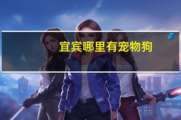 宜宾哪里有宠物狗