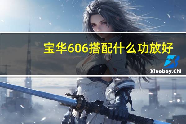 宝华606搭配什么功放好