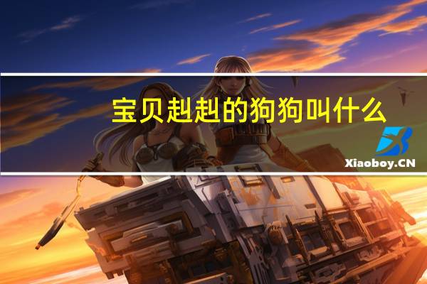 宝贝赳赳的狗狗叫什么