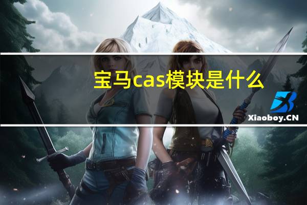 宝马cas模块是什么
