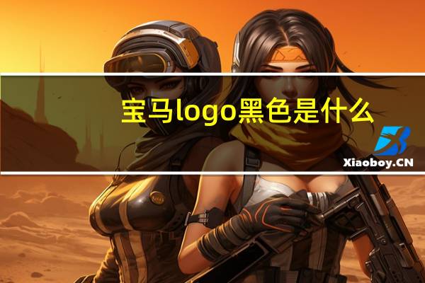 宝马logo黑色是什么