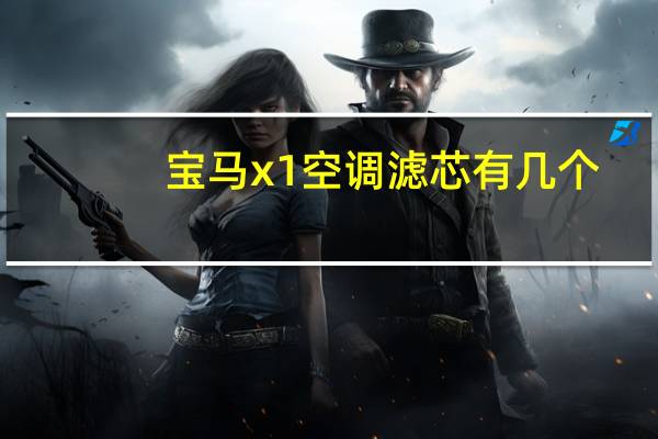 宝马x1空调滤芯有几个