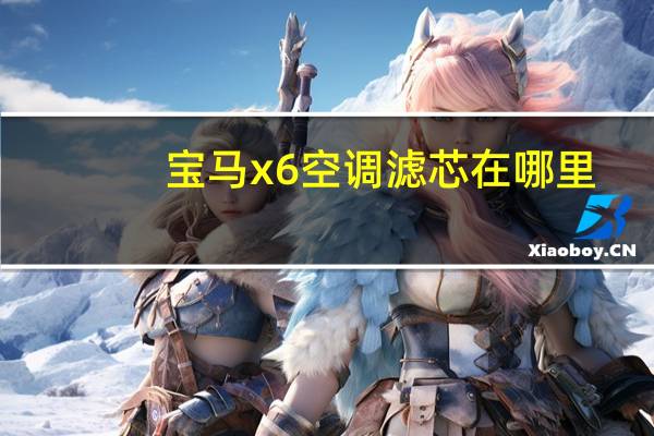 宝马x6空调滤芯在哪里