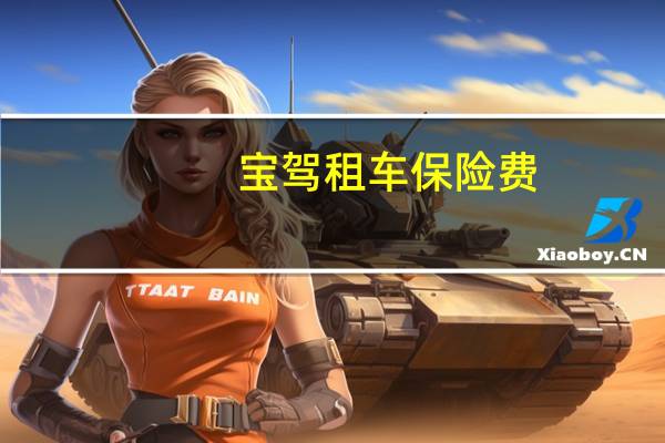 宝驾租车保险费