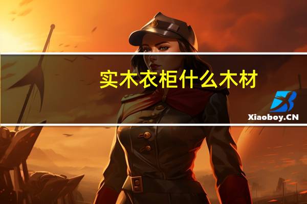 实木衣柜什么木材