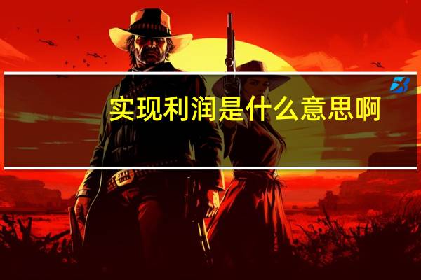 实现利润是什么意思啊