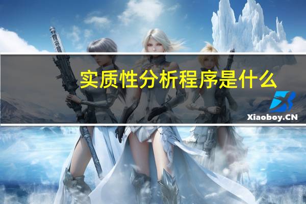 实质性分析程序是什么