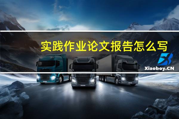实践作业论文报告怎么写