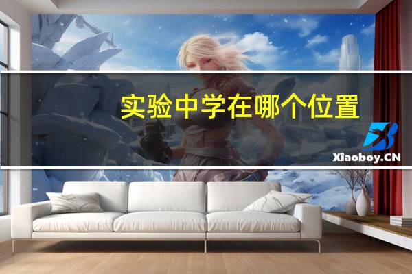 实验中学在哪个位置
