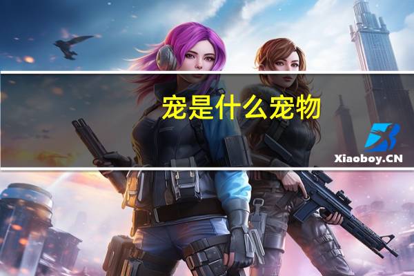 宠是什么宠物