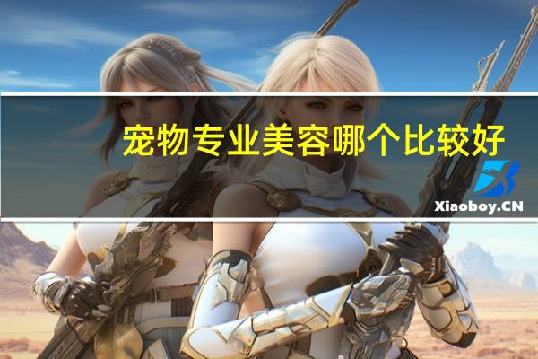 宠物专业美容哪个比较好