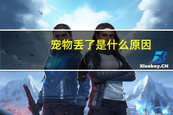 宠物丢了是什么原因