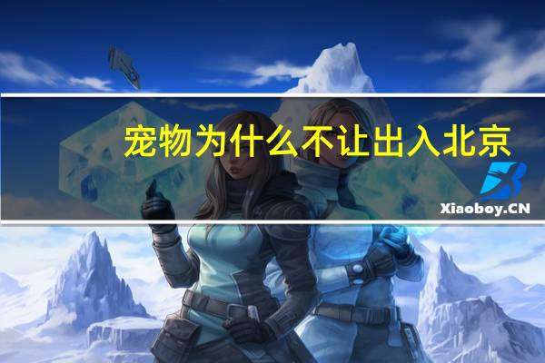 宠物为什么不让出入北京