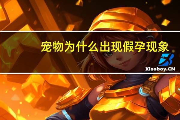 宠物为什么出现假孕现象