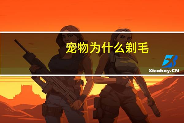 宠物为什么剃毛