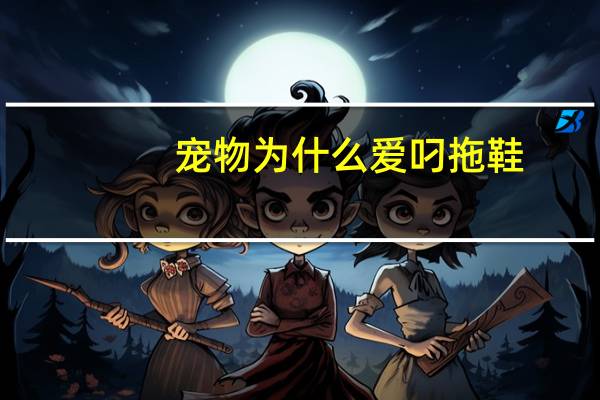 宠物为什么爱叼拖鞋