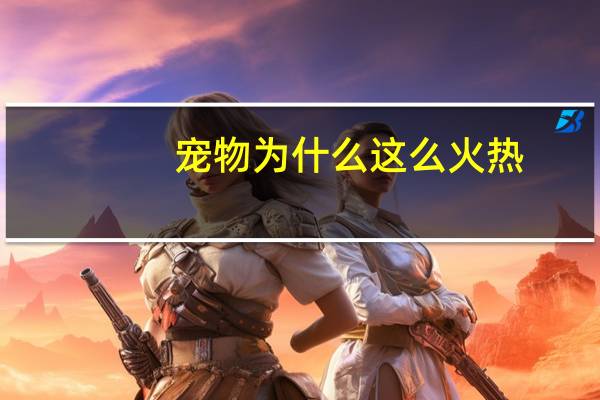 宠物为什么这么火热