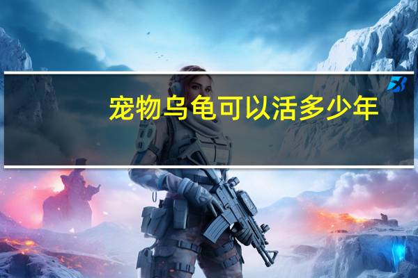 宠物乌龟可以活多少年
