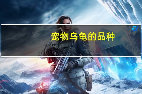宠物乌龟的品种